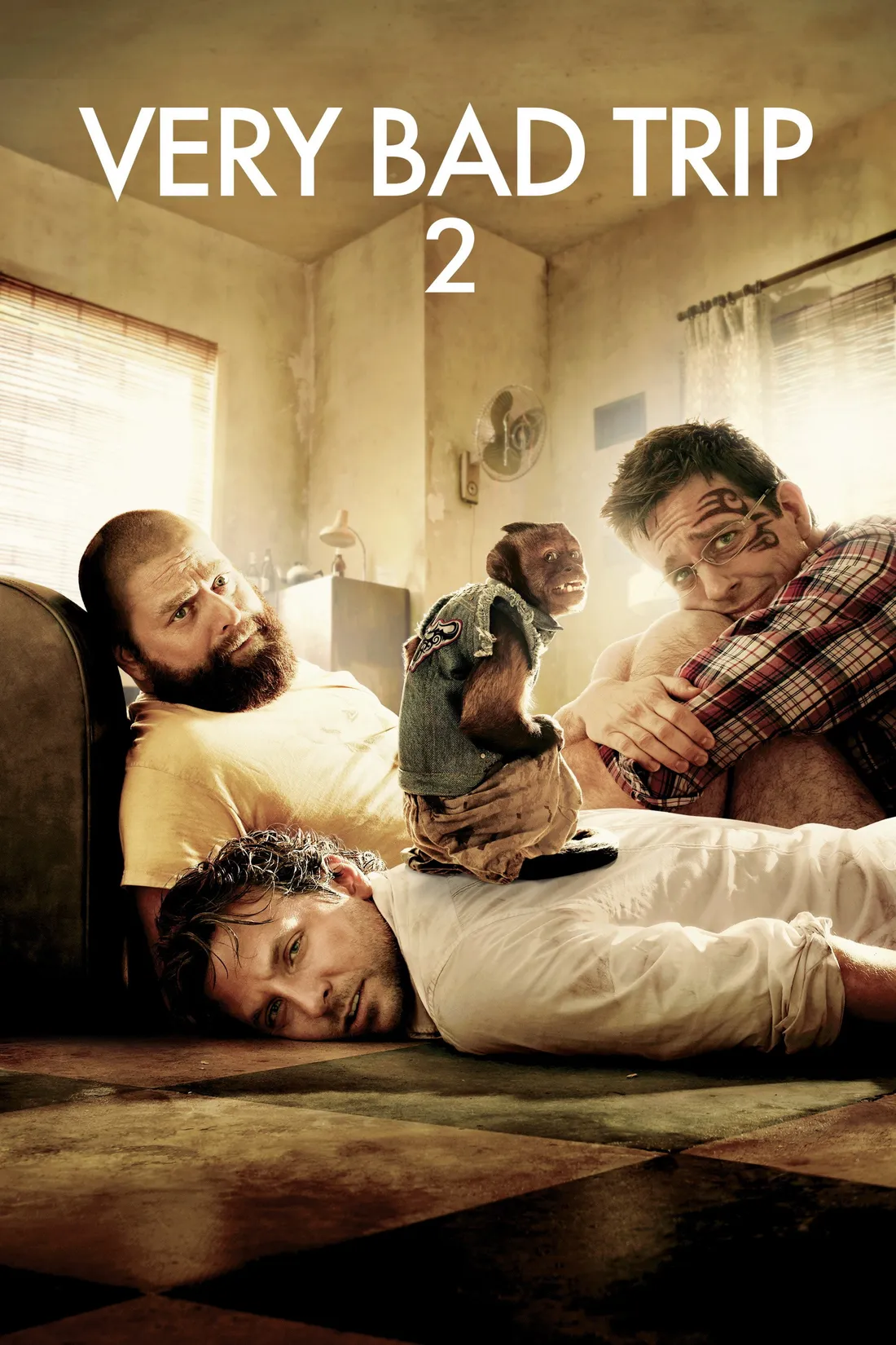 Very Bad Trip 2 (2011)